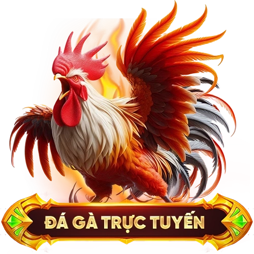 đá gà trực tuyến 79KING
